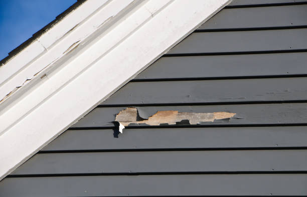 Best Same-Day Junk Removal Services  in Belleair Bluffs, FL